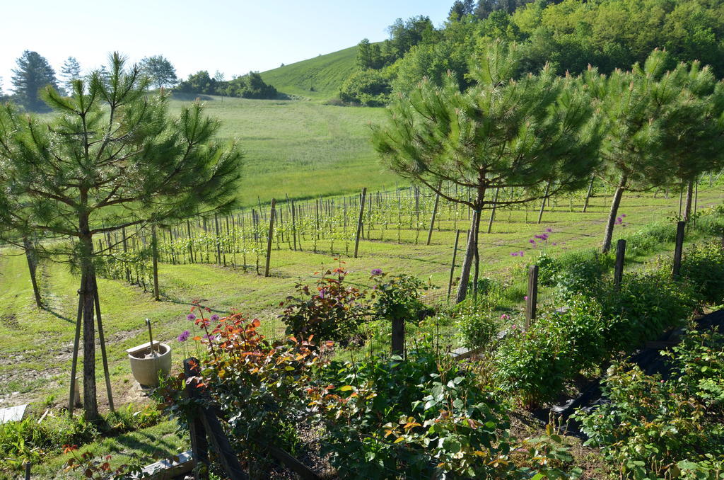 Cascina Castagneto Ξενοδοχείο CastellʼAlfero Εξωτερικό φωτογραφία